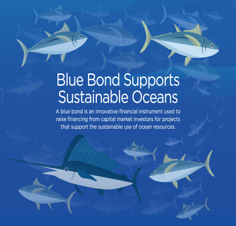 Blue Bond dan Green Bond: Instrumen Keuangan untuk Masa Depan Berkelanjutan